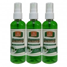 Khadi Pure Herbal Neem & Cucumber Face Freshener - 100ml (Set of 3)