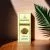 Frankincense Essential Oil