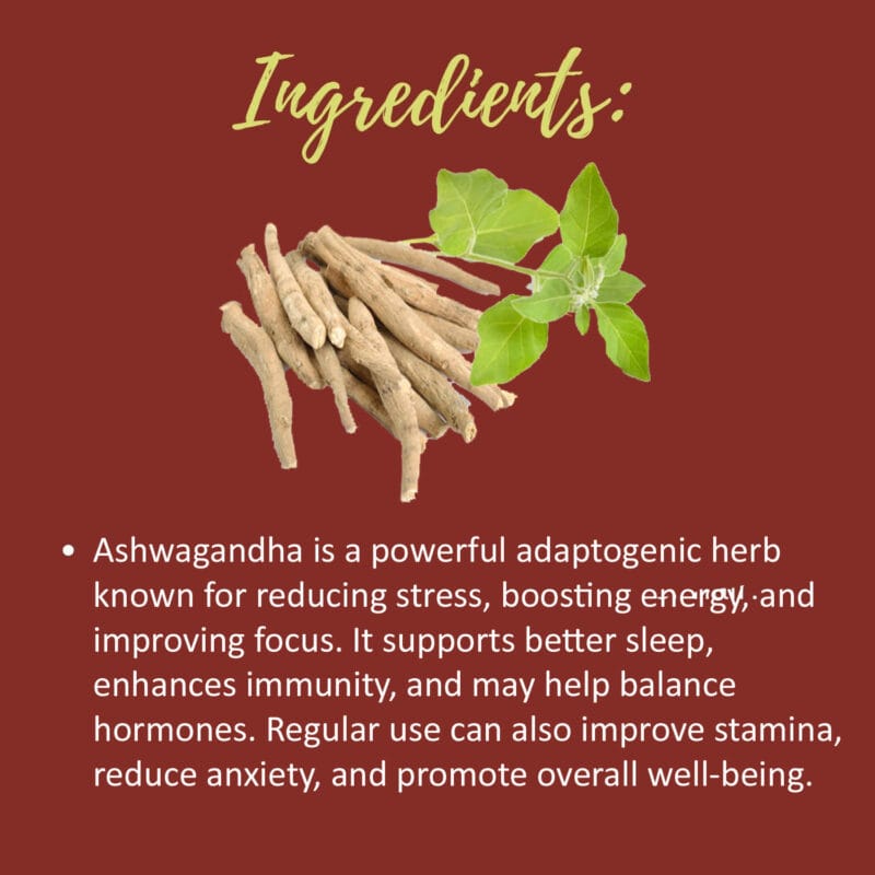 Khadi Pure Ashwagandha Powder | Herbal Vitality Tonic 80g